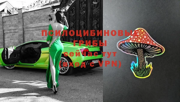 стаф Алексеевка