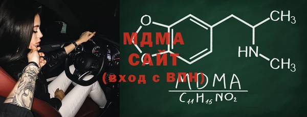 хмурый Алексин