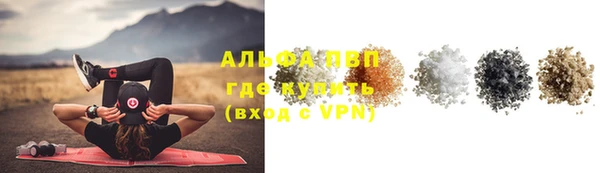 стаф Алексеевка