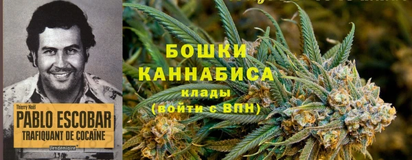 2c-b Алзамай