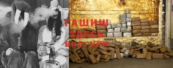хмурый Алексин