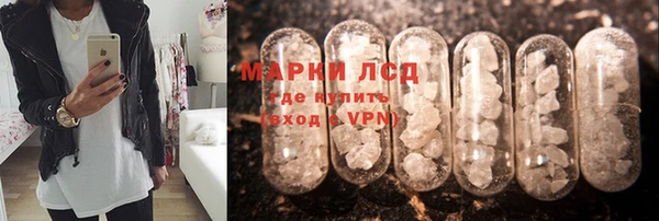 хмурый Алексин